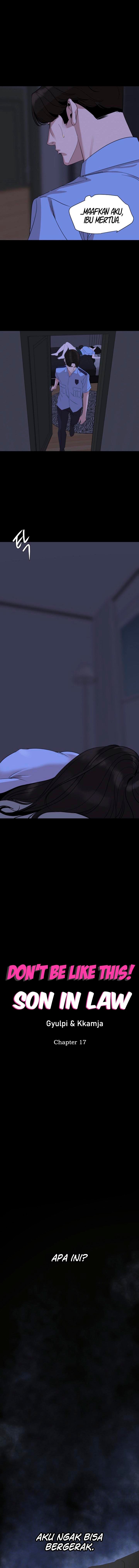 Don&#8217;t Be Like This! Son-In-Law - Chapter 17 3